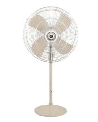 Pedestal Fans